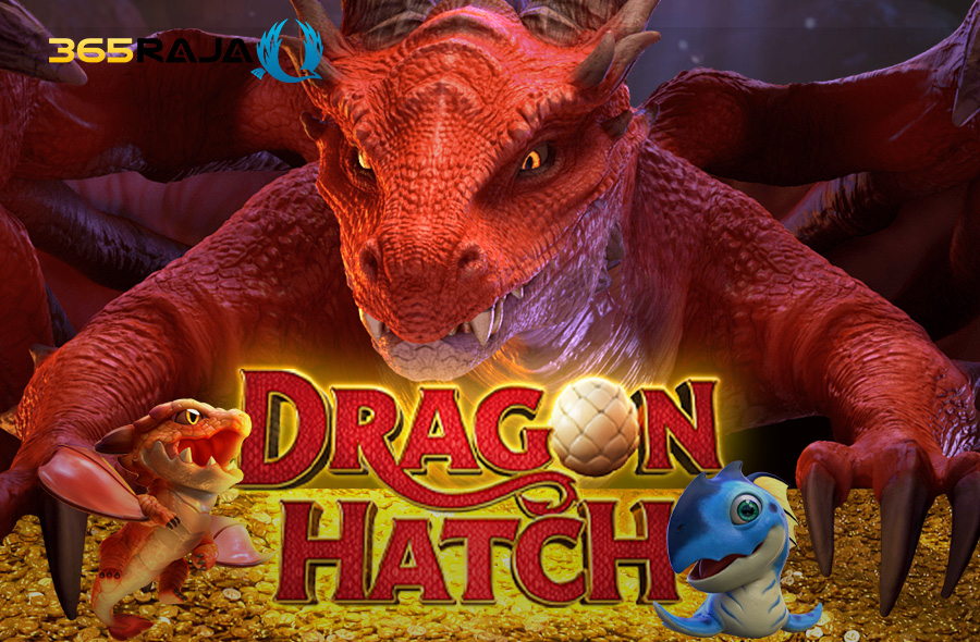 dragon hatch pg soft