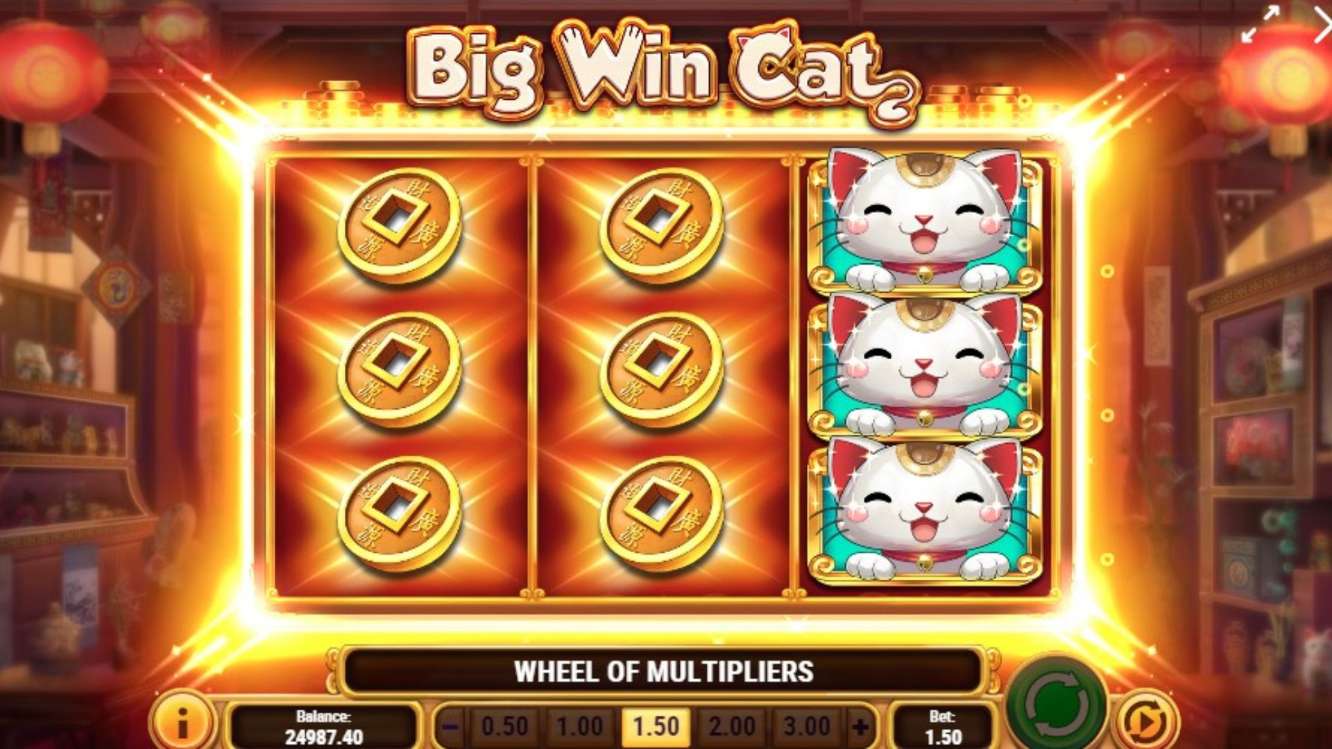 bonus big win cat