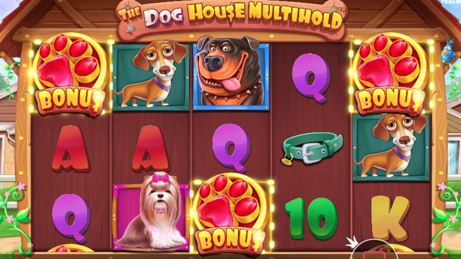 bonus the dog house multihold