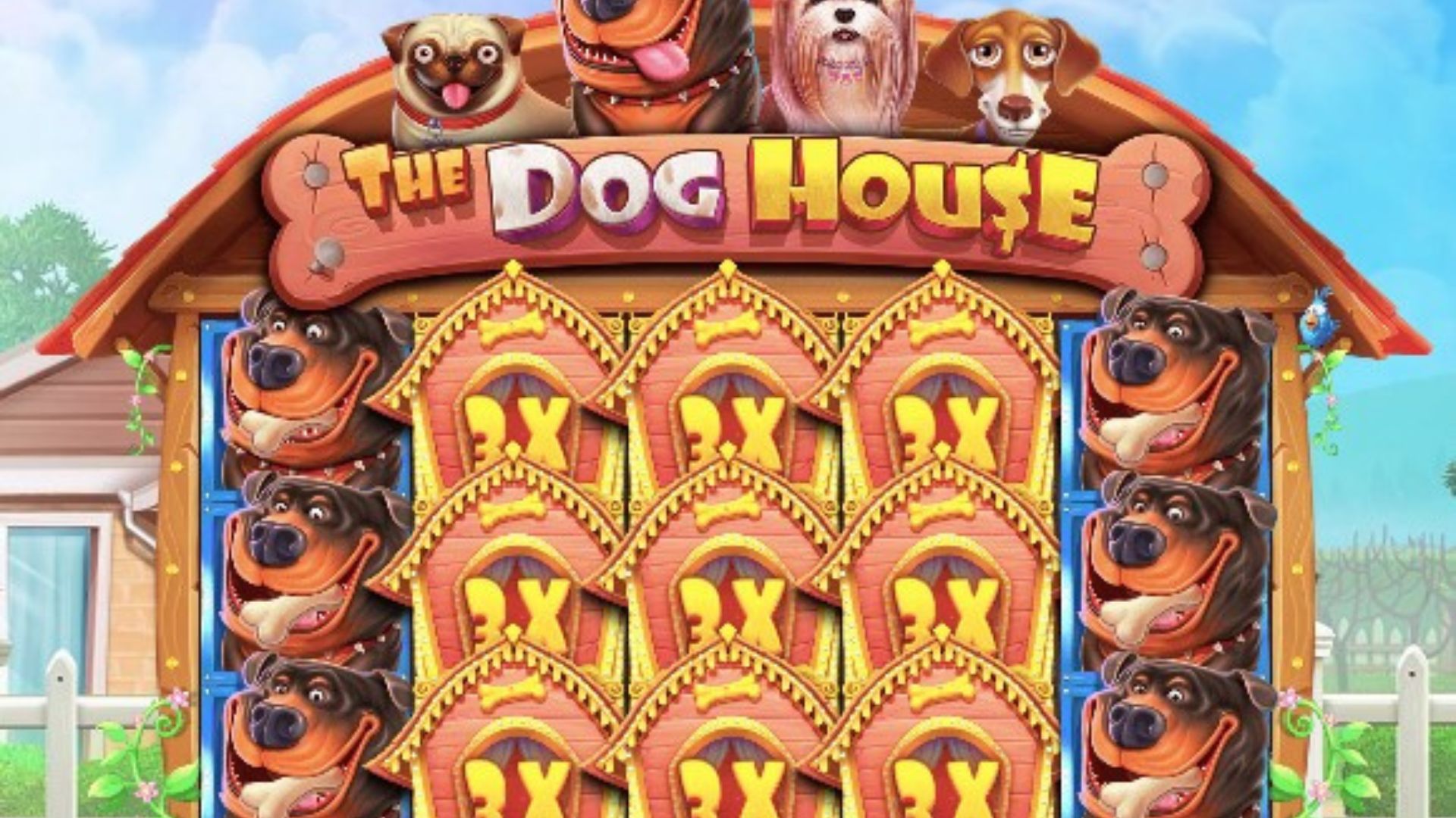 bonus the dog house