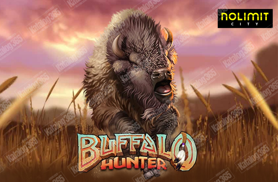 buffalo hunter nolimitcity